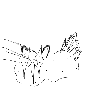 名無しのジョン兵衛さんのおえかき