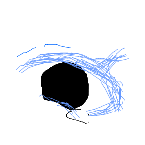 駒沢  ヤチ(しろねーファン:スマホ)さんのおえかき