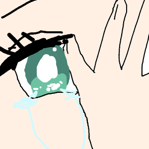 箱推しポメさんのおえかき