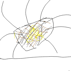彩推しポメさんのおえかき